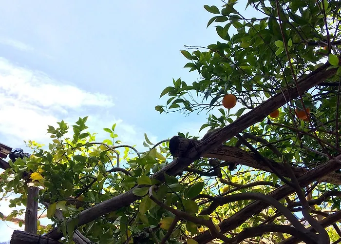 도나 줄리아 4* 아말피